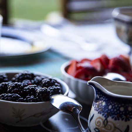 East Hampton Art House Bed And Breakfast Bagian luar foto